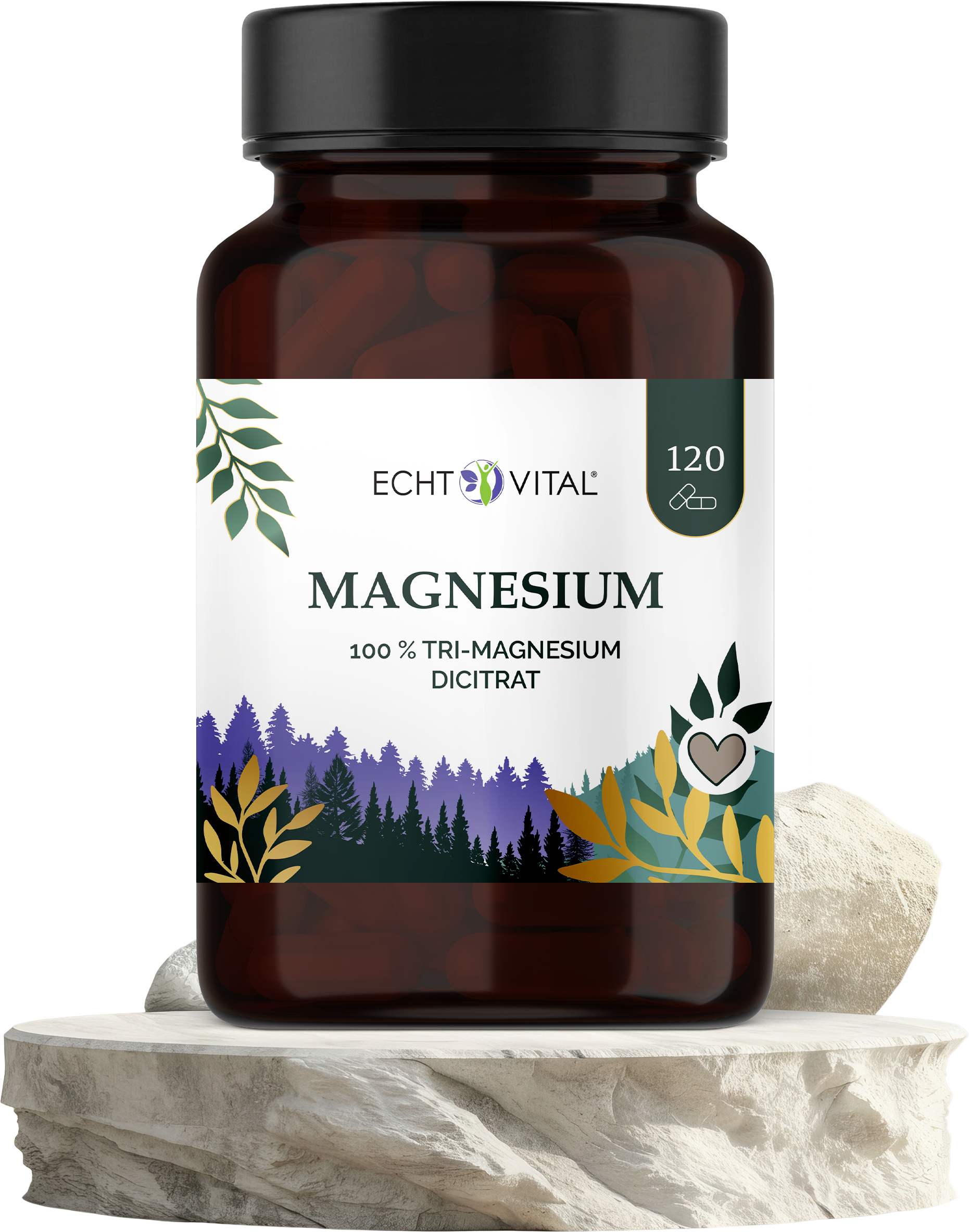 Kräuterig, Kräuter, Astragalus, Blume, Ketchup, Kräuter, Astragalus, Blume, Ketchup, Kräuterig, Kräuter, Pflanze, Astragalus, Blume